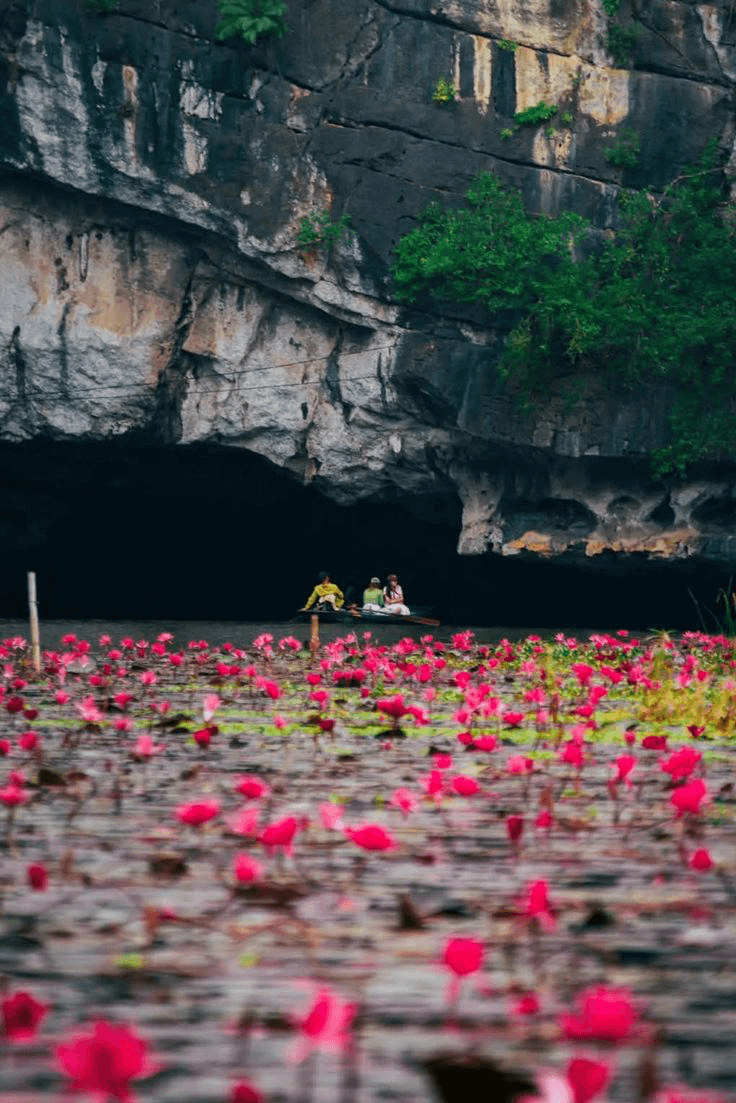 Ninh Binh 0e42f75f89ae69f13503483154e95c98