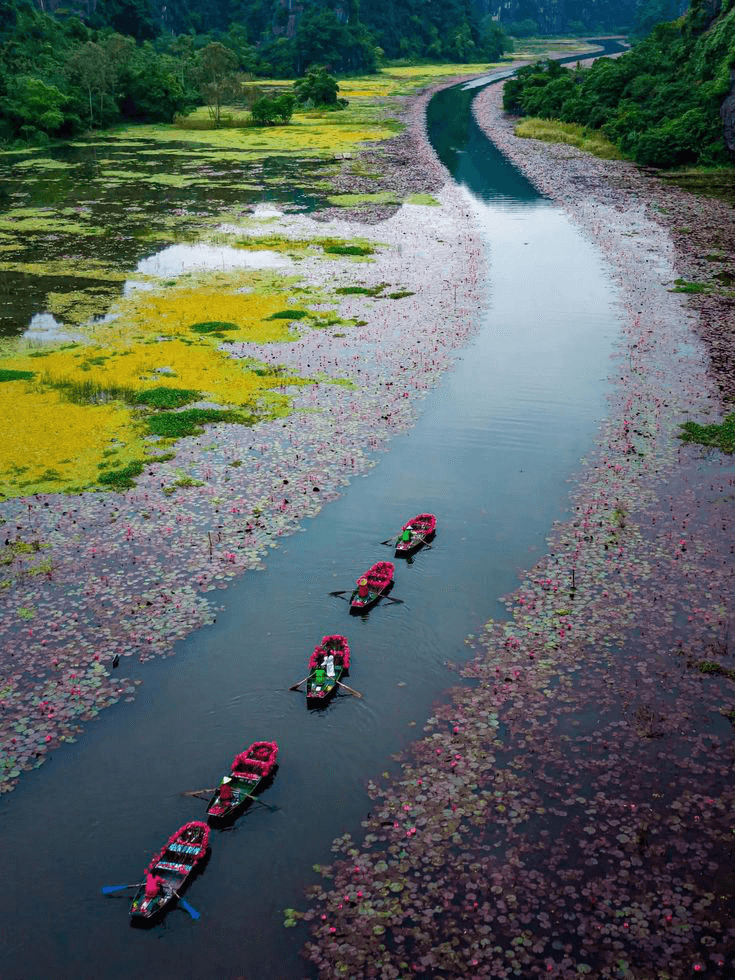 Ninh Binh 73d58f8e2a92d96df257c3e5e9360f09