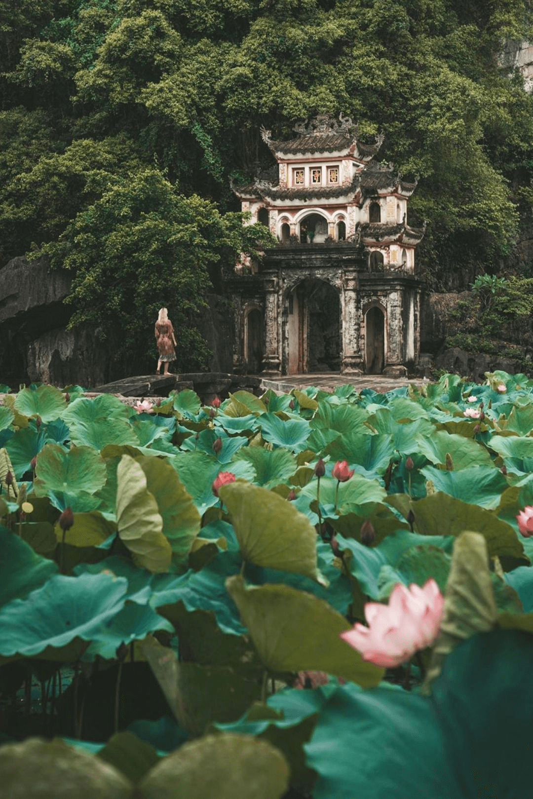 Ninh Binh 7428a6861103d14229d971a82e7f24ba