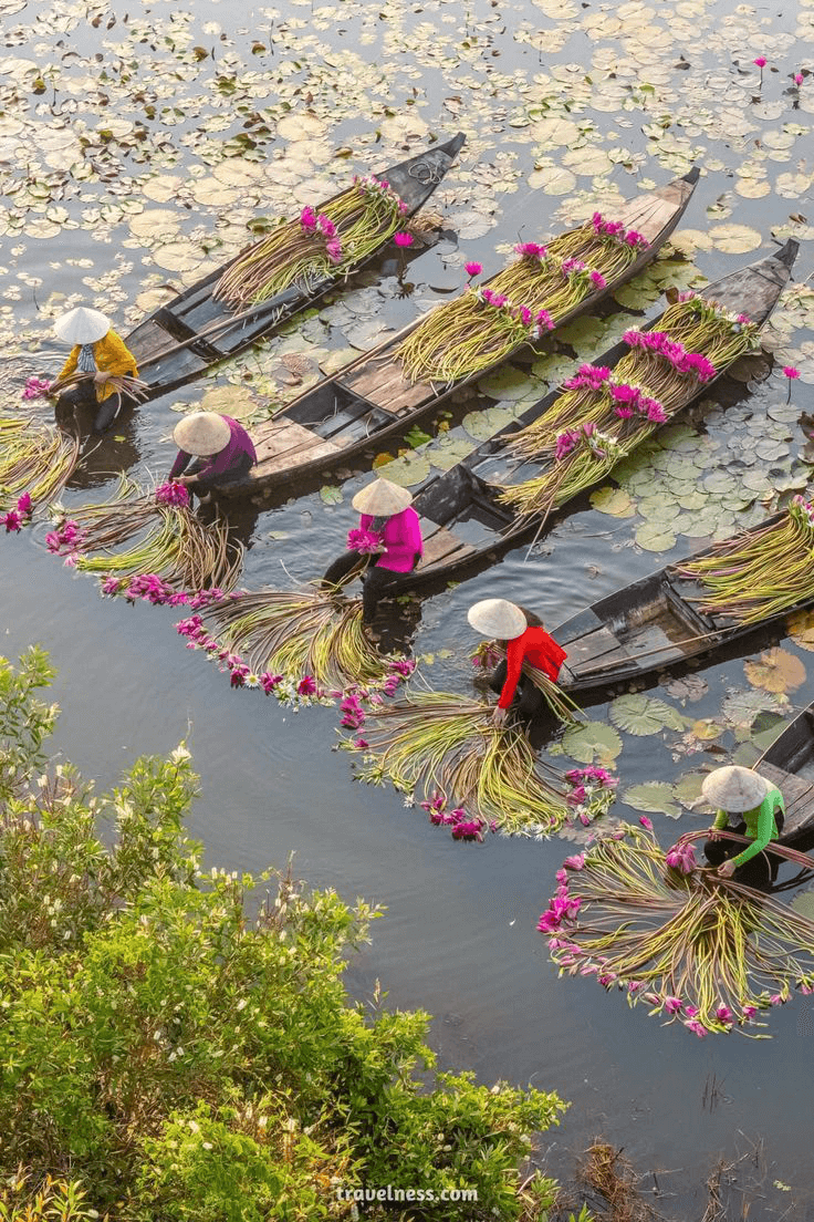 Ninh Binh eac958fd82b6fa3b254c2fd27fa44765